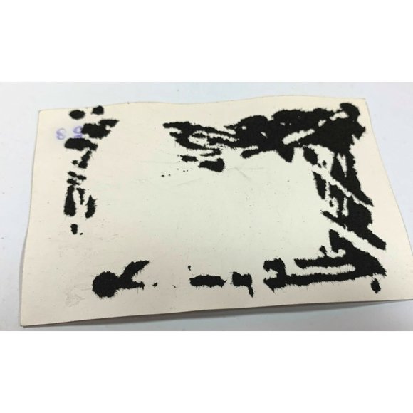 Vintage Found Photo Sharp Dressed Young Man at Unversity Garden 1930s Snapshot - Picture 4 of 6